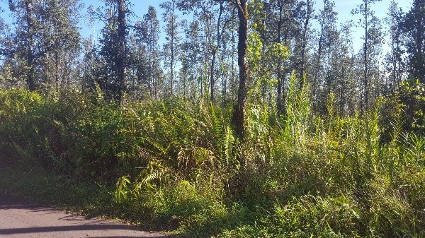 ROAD 7 , Mountain View, HI 96771