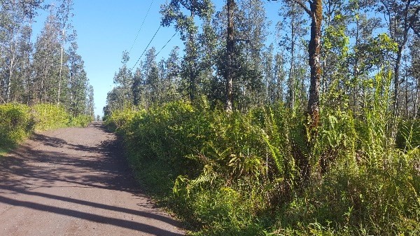 ROAD 7 , Mountain View, HI 96771