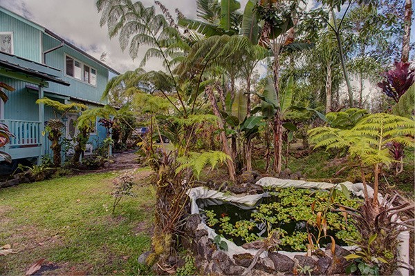 16-2137 HOPUE RD, Mountain View, HI 96771