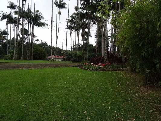17-708 ALA LP, Mountain View, HI 96771