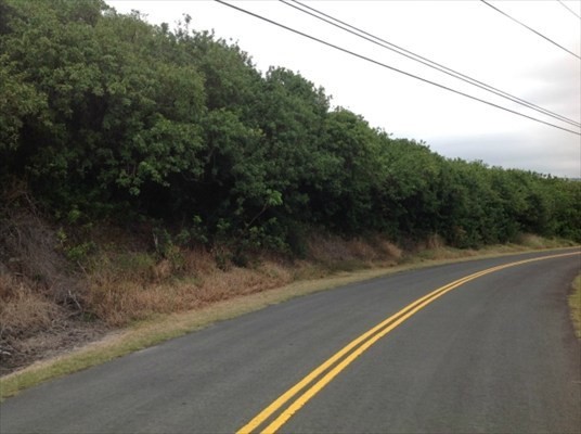 Naalehu, HI 96772