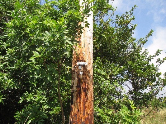 Naalehu, HI 96772