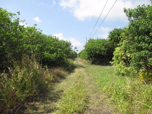 Naalehu, HI 96772
