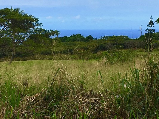 KAULUA CIR, Naalehu, HI 96772
