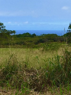 KAULUA CIR, Naalehu, HI 96772