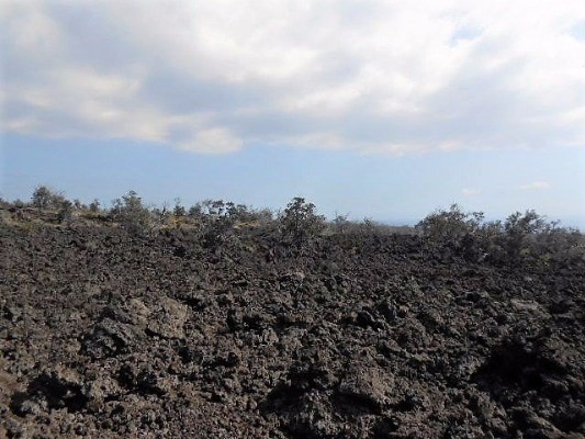 Naalehu, HI 96772