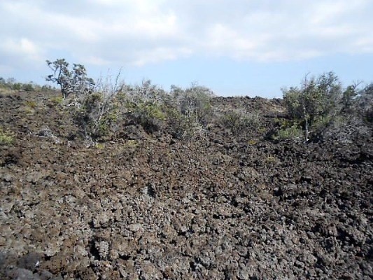 Naalehu, HI 96772