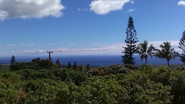 94 Palaoa Rd, Naalehu, HI 96772