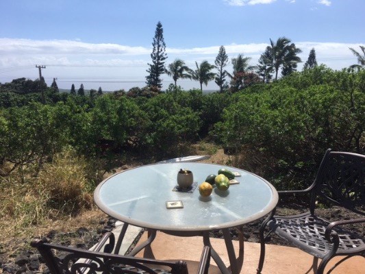94 Palaoa Rd, Naalehu, HI 96772