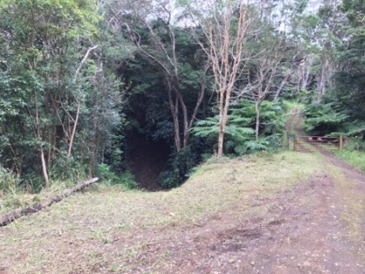 Paauilo, HI 96776
