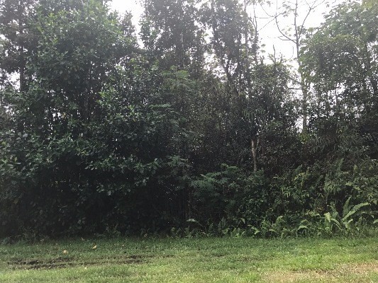 GINGER PL, Pahoa, HI 96778