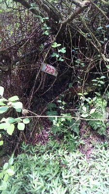 NIIHAU RD, Pahoa, HI 96778