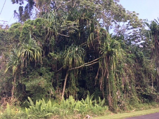 S MANINI ST, Pahoa, HI 96778
