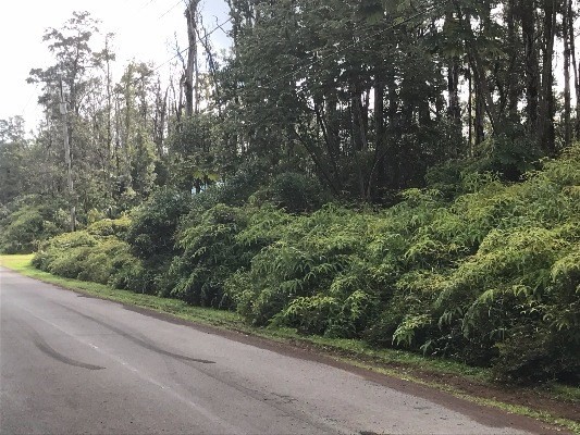 AINALOA DR, Pahoa, HI 96778