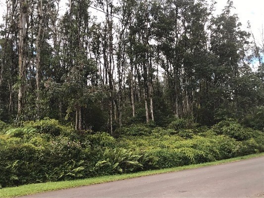 AINALOA DR, Pahoa, HI 96778