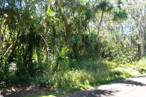 S OOPU ST, Pahoa, HI 96778