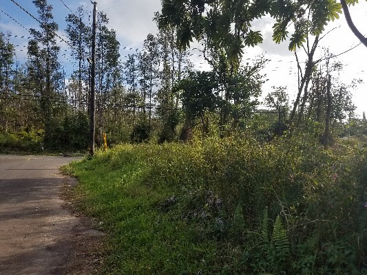 FOREST RD, Pahoa, HI 96778