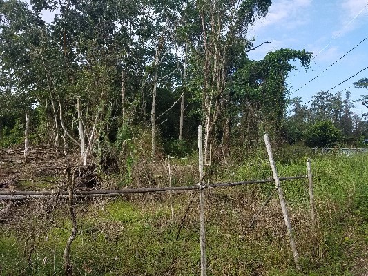 FOREST RD, Pahoa, HI 96778