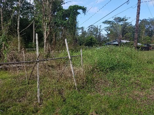 FOREST RD, Pahoa, HI 96778