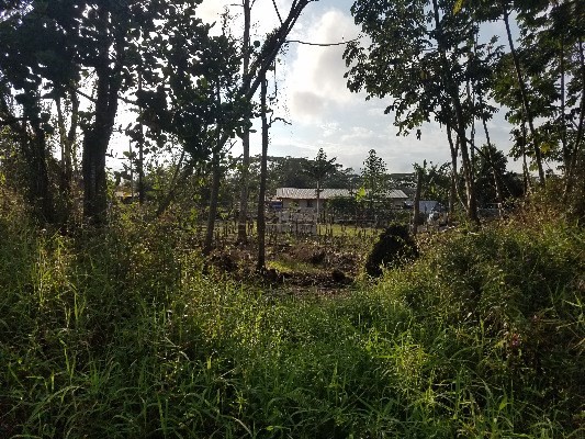 FOREST RD, Pahoa, HI 96778