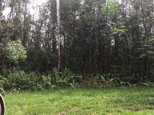GINGER PL, Pahoa, HI 96778