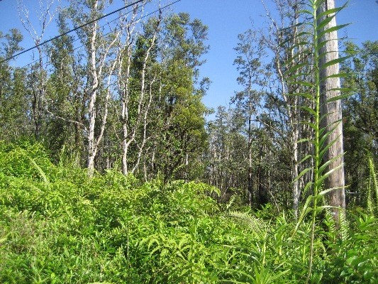 16-2697 AINALOA DR, Pahoa, HI 96778