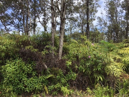 KAHUKAI ST, Pahoa, HI 96778