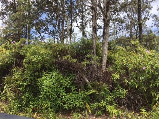 KAHUKAI ST, Pahoa, HI 96778