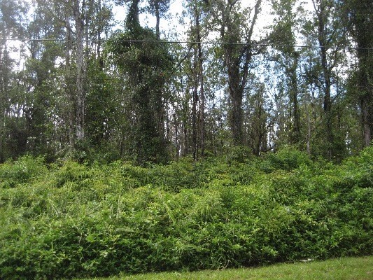 16-2695 AINALOA DR, Pahoa, HI 96778