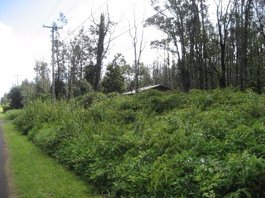 16-2695 AINALOA DR, Pahoa, HI 96778