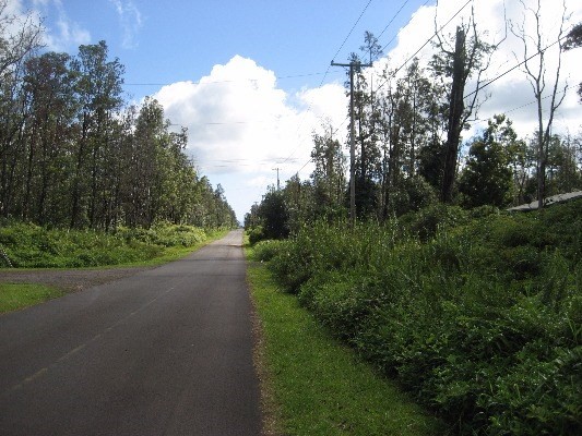 16-2695 AINALOA DR, Pahoa, HI 96778
