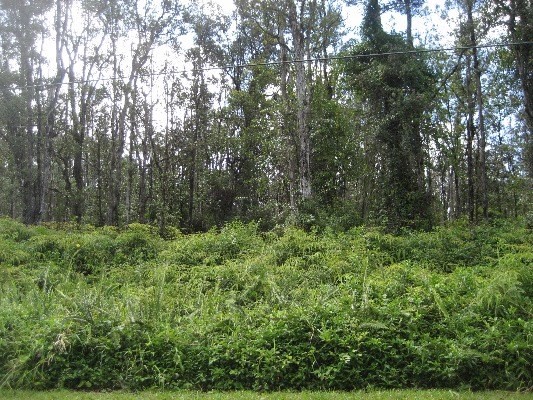 16-2695 AINALOA DR, Pahoa, HI 96778