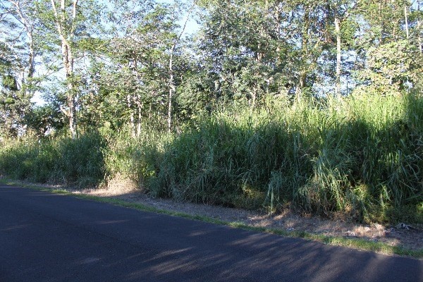 MOHALA ST, Pahoa, HI 96778