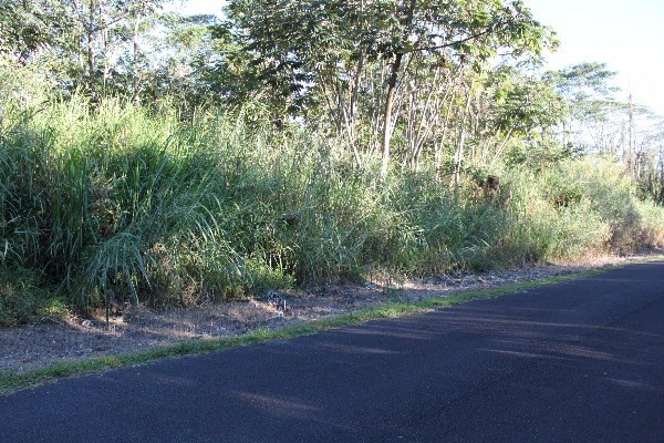 MOHALA ST, Pahoa, HI 96778