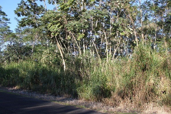 MOHALA ST, Pahoa, HI 96778