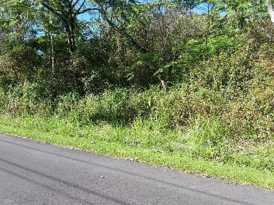 ALAPAI ST, Pahoa, HI 96778