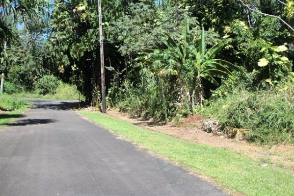 S OPELU ST, Pahoa, HI 96778