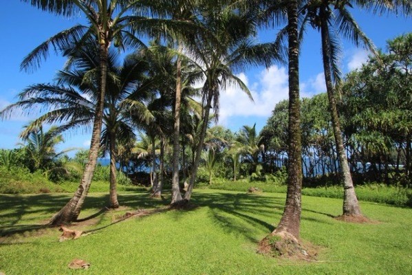S OPELU ST, Pahoa, HI 96778