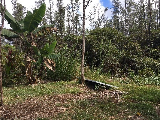 16-2032 ALOHA DR, Pahoa, HI 96778