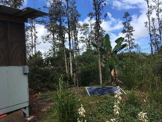 16-2032 ALOHA DR, Pahoa, HI 96778