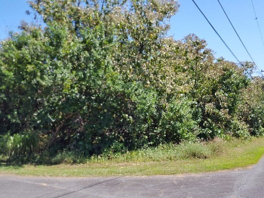 KAIHULALI ST, Pahoa, HI 96778
