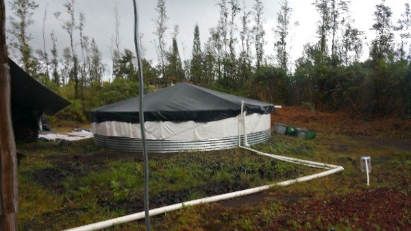 16-2151 SILVERSWORD DR, Pahoa, HI 96778