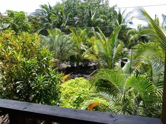 14-5025 WALEA RD, Pahoa, HI 96778