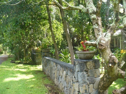 12-7207 MAUKA NUI ST, Pahoa, HI 96778