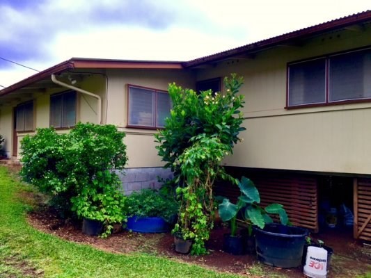 28-2834 KUMULA ST, Pepeekeo, HI 96783
