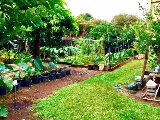 28-2834 KUMULA ST, Pepeekeo, HI 96783