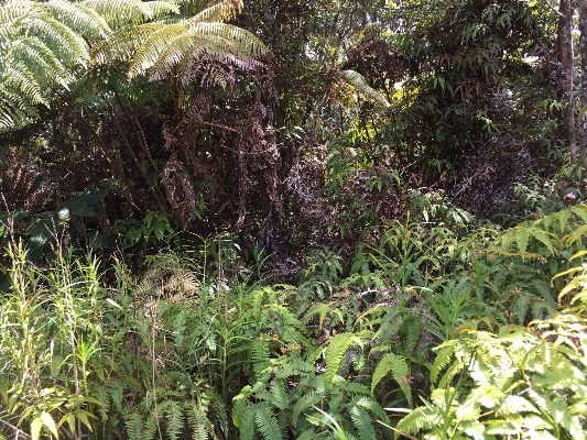MOKUNA ST, Volcano, HI 96785