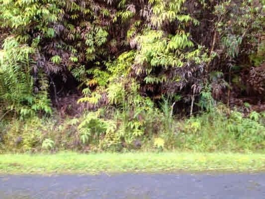 ROAD 10, Volcano, HI 96785