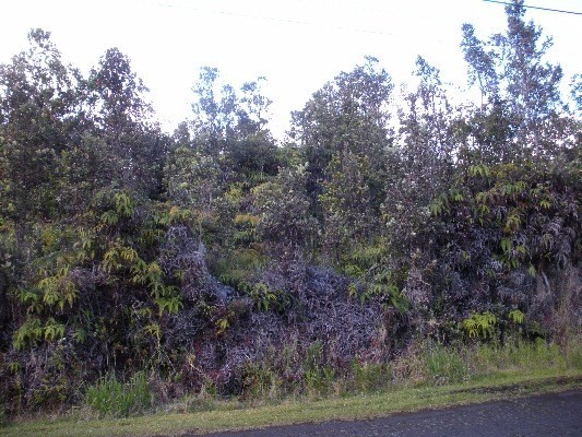 11-3302 Alaula, Volcano, HI 96785