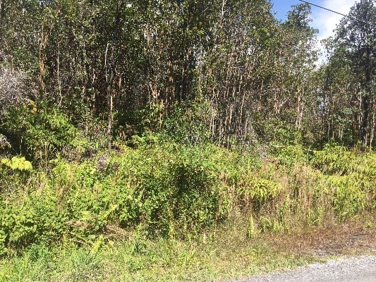 MAKOA RD, Volcano, HI 96785